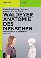 Walter de Gruyter Waldeyer - Anatomie des Menschen