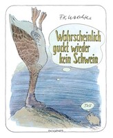 Diogenes Verlag AG Wahrscheinlich guckt wieder kein Schwein