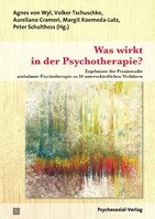 Psychosozial Verlag GbR Was wirkt in der Psychotherapie?