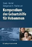 Springer-Verlag KG Kompendium der Geburtshilfe für Hebammen