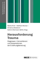 Juventa Verlag GmbH Herausforderung Trauma
