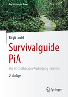 Springer Berlin Heidelberg Survivalguide PiA
