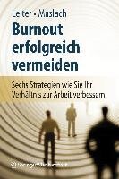 Springer-Verlag KG Burnout erfolgreich vermeiden