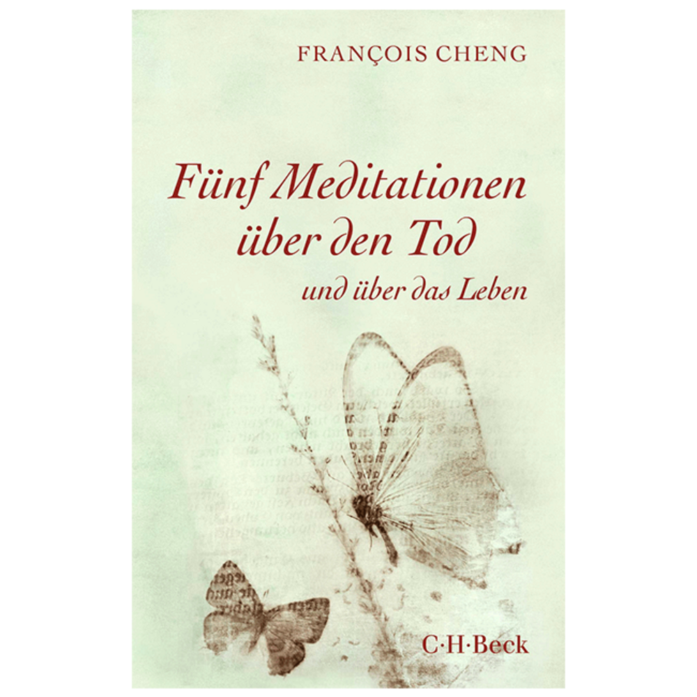 Fünf Meditationen über den Tod und über das Leben