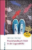 Reinhardt Ernst Praxishandbuch FASD in der Jugendhilfe