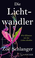 FISCHER, S. Die Lichtwandler
