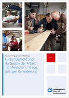 Lebenshilfe Aufsichtspflicht und Haftung in der Arbeit mit Menschen mit sog. geistiger Behinderung