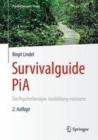 Springer Berlin Heidelberg Survivalguide PiA