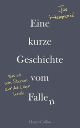 Eine kurze Geschichte vom Fallen - Was ich beim Sterben &uuml;ber das Leben lernte