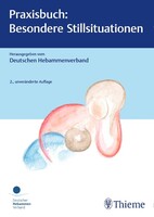 Thieme Praxisbuch: Besondere Stillsituationen