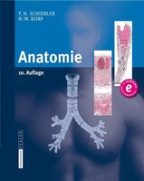 Steinkopff Dr. Dietrich V Anatomie