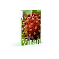 kurz & bündig VIREN