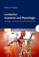 Urban & Fischer/Elsevier Lernkarten Anatomie und Physiologie