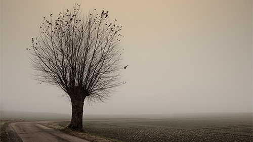 banner-17c8e278-9e90-d2e6-7478-0fac45527c4a