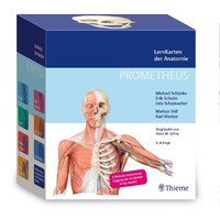 Georg Thieme Verlag PROMETHEUS LernKarten der Anatomie