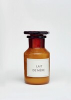 Passagen Verlag Ges.M.B.H Milk / Milch