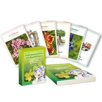 Narayana Verlag GmbH Kartenset: Selbsterkenntnis mit Bachblüten