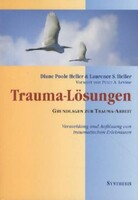 Synthesis Verlag Trauma-Lösungen