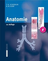 Steinkopff Dr. Dietrich V Anatomie