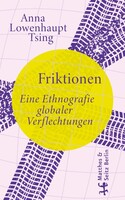 Matthes & Seitz Verlag Friktionen