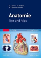 Urban & Fischer/Elsevier Anatomie