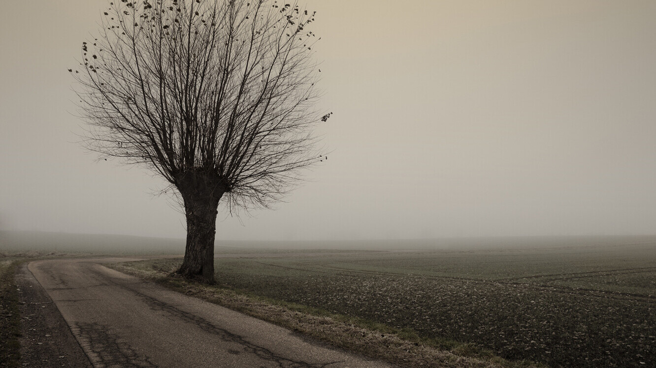 banner-17c8e278-9e90-d2e6-7478-0fac45527c4a