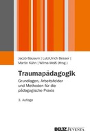 Juventa Verlag GmbH Traumapädagogik