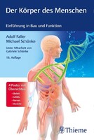 Georg Thieme Verlag Der Körper des Menschen