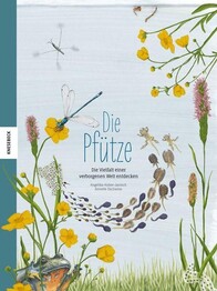Die Pf&uuml;tze