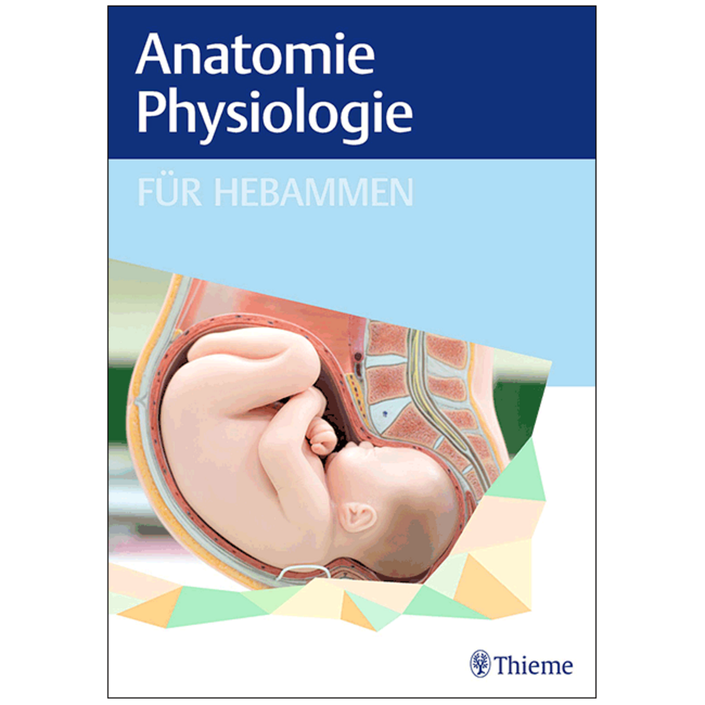 Anatomie und Physiologie für Hebammen