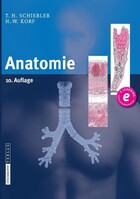Steinkopff Dr. Dietrich V Anatomie