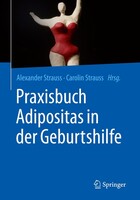 Springer-Verlag GmbH Praxisbuch Adipositas in der Geburtshilfe